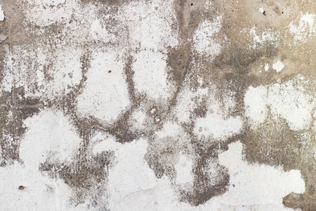 Concrete, old wall.の写真素材