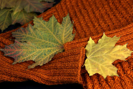 knitted cozy sweater of red color on a table with autumn leaves on a dark background. High quality...