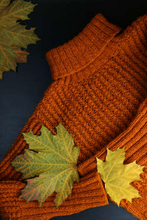 knitted cozy sweater of red color on a table with autumn leaves on a dark background. High quality photoの写真素材