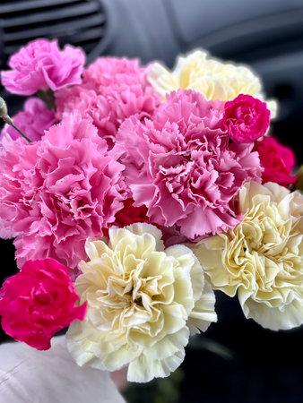 Colorful carnation bouquet High quality photoの写真素材