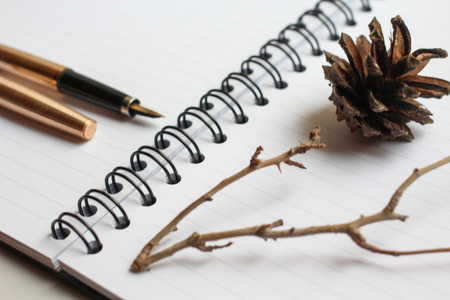 notebook with pen, lump and branchの写真素材
