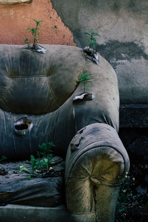 close up old leather abandoned sofa on the street at the facade of the destroyed house, the plants sprouted through the upholstery of the sofaの写真素材