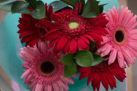 bouquet of pink and red gerberas on a colored backgroundの写真素材