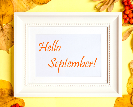 Seasonal autumn background. white frame with text Hello September, autumn leaves, rowan. Top view, flat lay, view from above.の写真素材