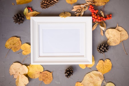 Colorful autumn pattern made of pumpkins, cones, leaves and rowan on gray background. White frame, copy space. Flat lay. Fall concept.の写真素材