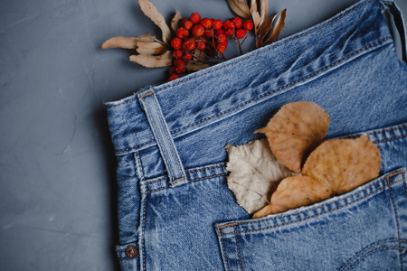 Moscow, Russia - 08 30 2018:top view blue jeans, autumn leaves, Rowan berries, copy spaceの写真素材