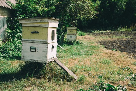 an old Hives of bees in the apiary