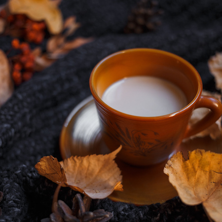 A cup of coffee on the Dars gray knitted sweater with colorful fall maple leaves and pine cones. Autumn cozy background.の写真素材