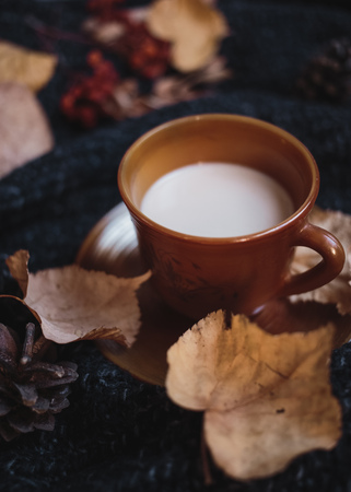 A cup of coffee on the Dars gray knitted sweater with colorful fall maple leaves and pine cones. Autumn cozy background.の写真素材