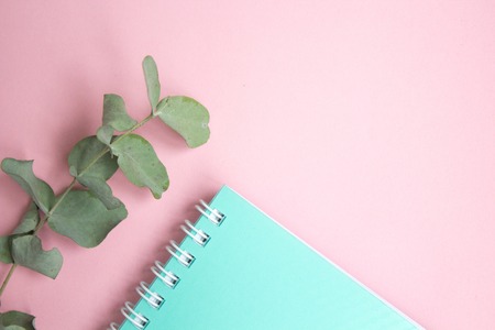 Flat lay pastel composition. background with mint colored notepad and eucaliptus on pink backgroundの写真素材