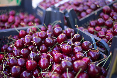 boxes with fresh red cherries, counter of the seller of fruit and vegetables, farmer's marketの写真素材