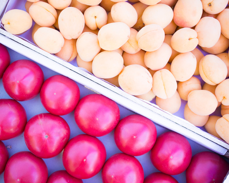 boxes of fresh apricots and tomatoes, counter of the seller of fruit and vegetables, farmer's marketの写真素材
