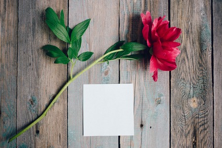 peony flower and blank paper sheet on wooden backgroundの写真素材