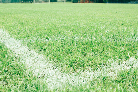 football field, green lawn with a line drawn with white paintの写真素材