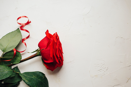 Single red rose, red ribbon on white plastered background, beautiful textureの写真素材