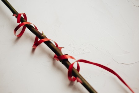 Single stem of a rose with thorns and red ribbon on white plastered background, copy space