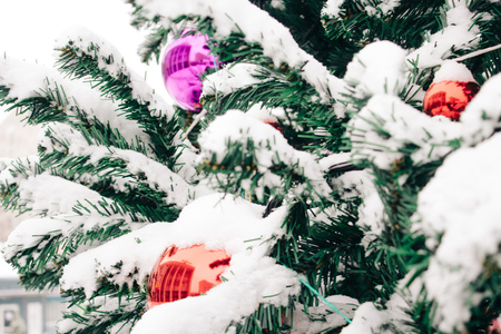 branch with snow of Christmas tree with colored Christmas ball outdoorsの写真素材