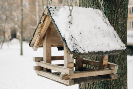Close up of wooden birds feeder on tree branchの写真素材