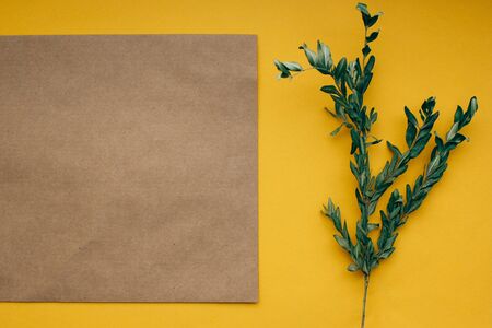 greeting card with green branches on yellow brown background copy spaceの写真素材