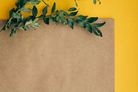 greeting card with green branches on yellow brown background copy spaceの写真素材