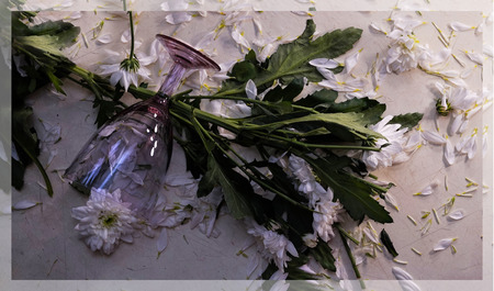 Photo image White chrysanthemums, petals, crystal glassの写真素材