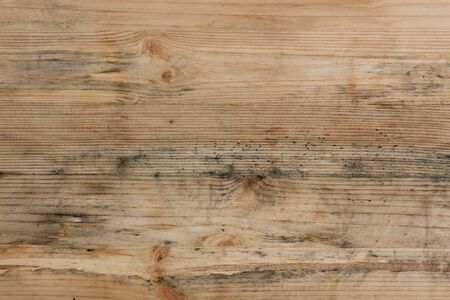 An old piece of woodの写真素材