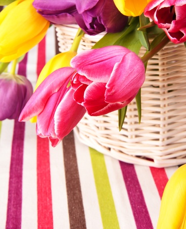 Variety of colorful tulips in a basketの写真素材