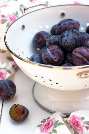 harvest of plums. Fruits in colander with water dropsの写真素材
