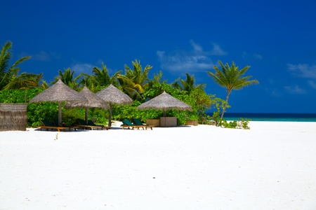 View of perfect beach with white sand, coconut palm tree, blue sky and sun loungers on Maldivesの写真素材