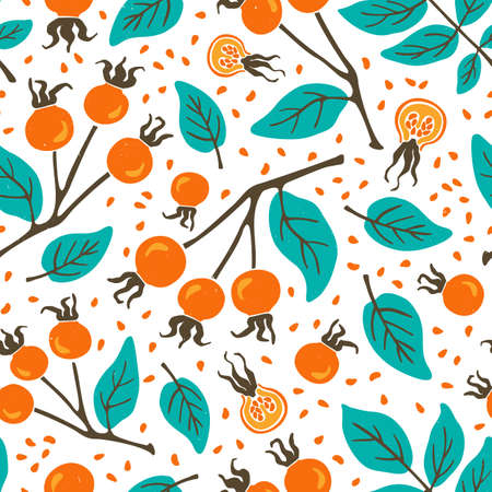 Cute berry seamless pattern. Set of various rose hip berries, branches, leaves and seeds. Bright...