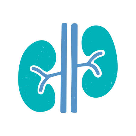 Human kidneys icon. Two-color symbol isolated on a white background. Vector flat hand drawn...