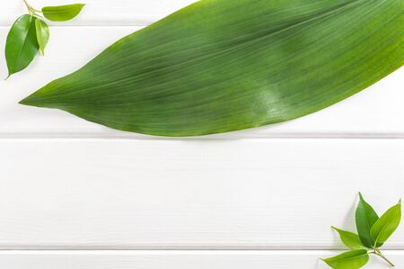 Creative white wooden background with green leaves. Top view with copy space.