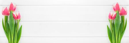 Flower banner: pink and white tulips on white woodenの写真素材