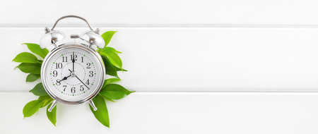 Morning concept: alarm clock and green leaves on white wooden background, top view, copy space.の写真素材