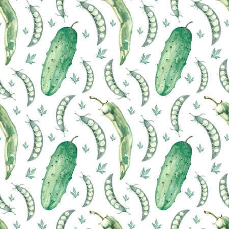 Watercolor pattern with green vegetables cucumber, peas, parsley on a white background.の写真素材