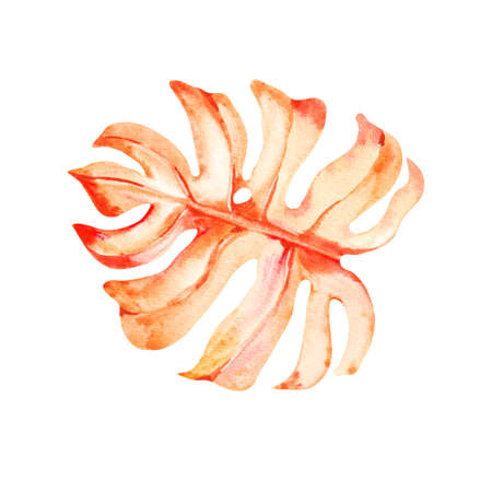 Hand-drawn leaf watercolor monsters for product designの写真素材