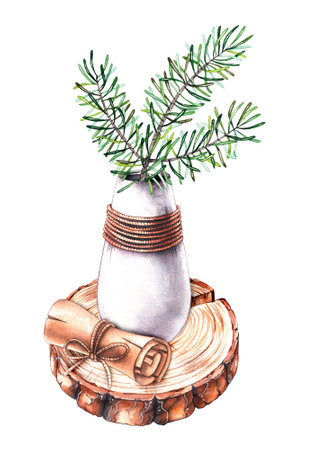 Watercolor sprig of pine needles in a vase with a scroll and a saw cut of a tree on a white background. Isolated illustration for menu decoration, packaging, cards, invitations, fabrics, foodの写真素材
