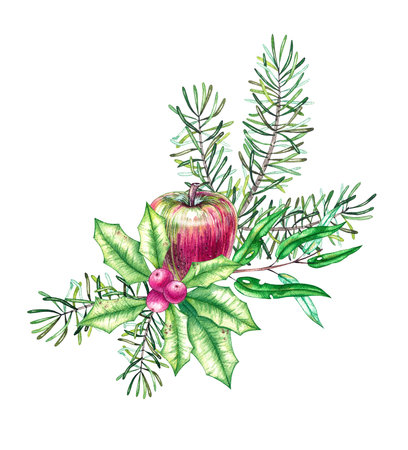 Christmas wreath of coniferous branches, apples, holly on a white background. Hand-drawn watercolor Christmas wreath. Illustration for packaging design, backgrounds, labels, etc.の写真素材