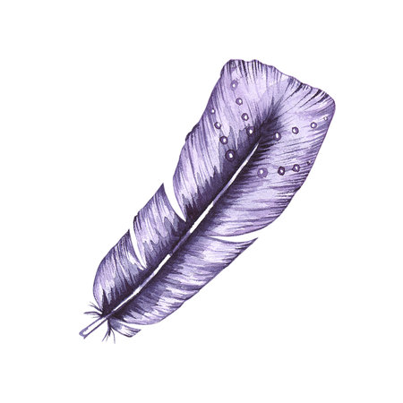 Watercolor bird feather. Feather isolated on white. Hand drawn bird feather for print design, textiles and other productsの写真素材