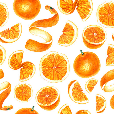 Watercolor orange tropical fruit hand drawnの写真素材