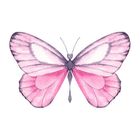 Summer watercolor illustration from the flamingo seriesの写真素材