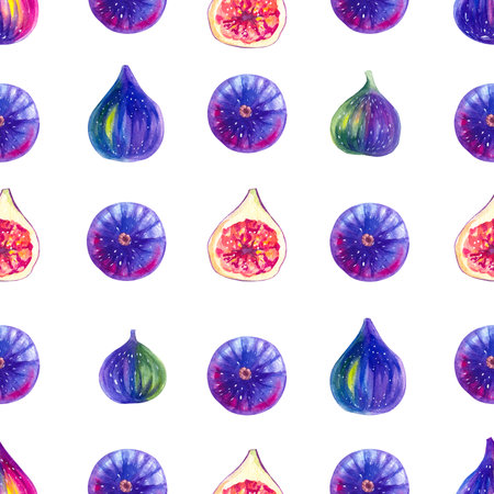 Fig watercolor. Watercolor botanical fig pattern seamless. Illustration for design cards, invitations and branding. Tropical plant figの写真素材