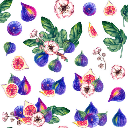 Fig watercolor. Watercolor botanical fig pattern seamless. Illustration for design cards,...
