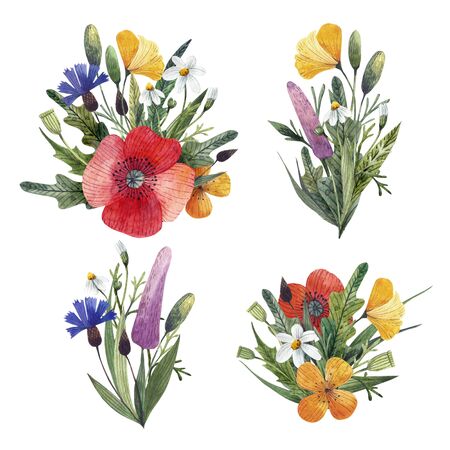 Compositions of wild flowers and herbs. Poppies daisies and other flowers.の写真素材