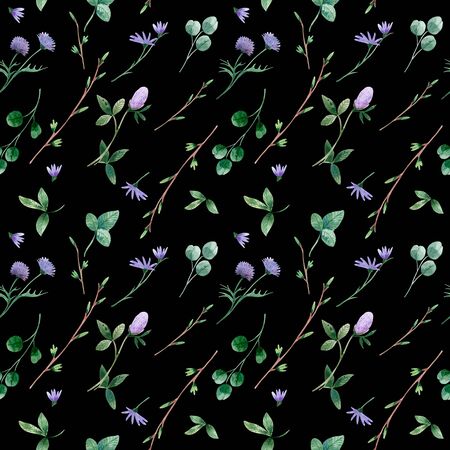 Botanical seamless pattern with wildflowers and herbs.の写真素材