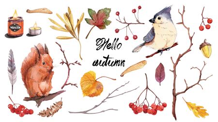 Colorful Watercolor Autumn. Fall branches with leaves and Animals, Hand drawn illustration. Design for wedding invitations greeting cardsの写真素材