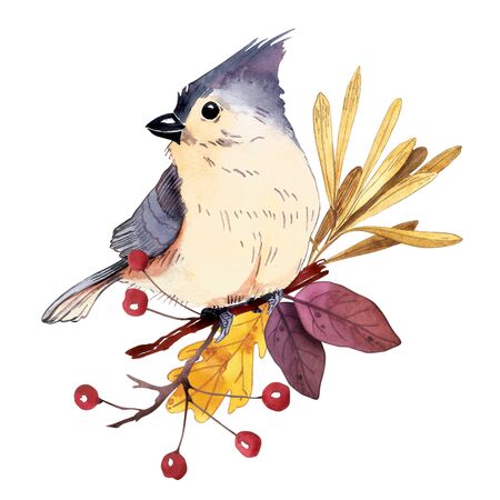 Watercolor bouquet with tufted titmouse. Hand painted floral illustration.の写真素材