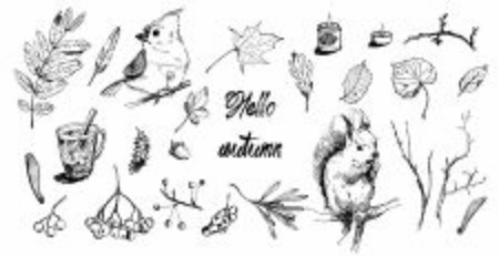 Autumn vector set with leaves, berries, fir cones and acorns. Vintage autumn seasonal decor. Drawing of oak leaves, maple, mountain ash.のイラスト素材