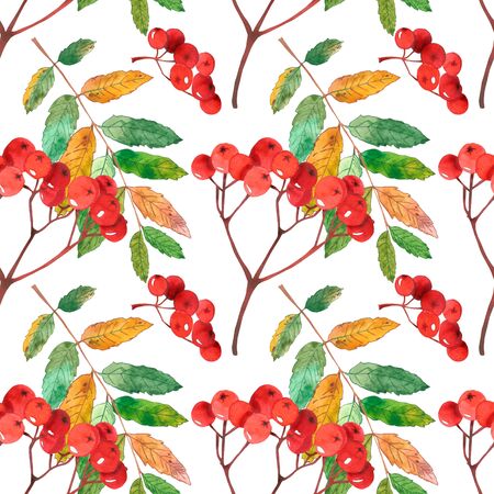 Watercolor seamless background autumn leaves and mountain ash. Hand drawn illustration.の写真素材