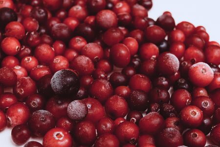 many Frozen cranberry with hoarfrost backgroundの写真素材